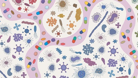 Diverse microorganisms and drugs