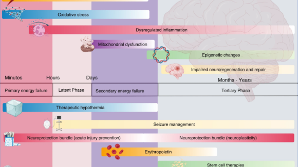 Incidence of Epilepsy and Seizures Over the First 6 Months After a COVID-19  Diagnosis