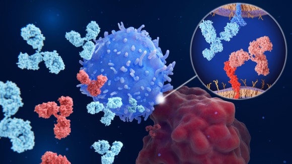 Immune checkpoint inhibitors