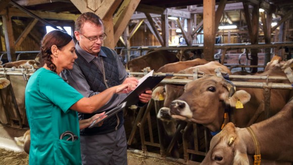 role-of-human-behaviour-in-livestock-disease-control-and-management