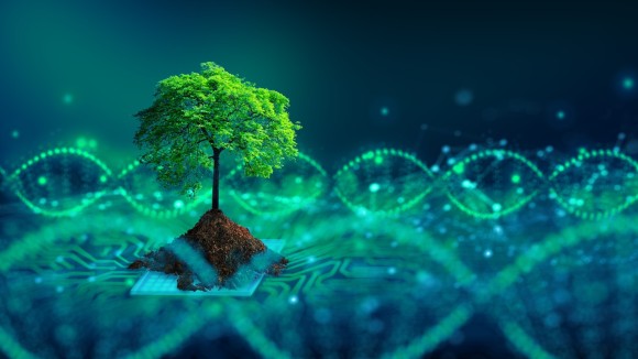 Green Computing, Green Technology, Green IT, csr, and IT ethics Concept