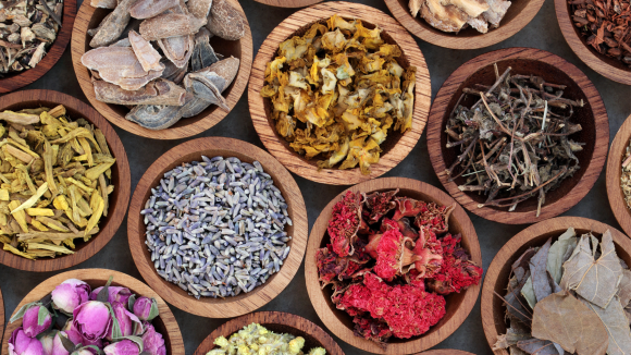 Focal Point on Traditional Chinese Medicine