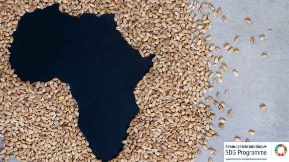 Graphical representation of the continent of Africa in black, surrounded by grain seed