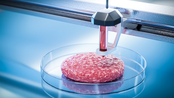 Beef meat 3d printing concept. Hamburger cutlet shape - New technologies for meat production. 3d render