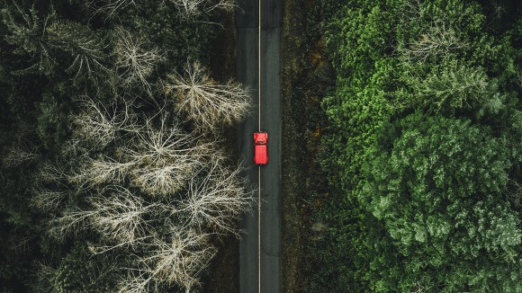 Aerial photograph of car driving through forest