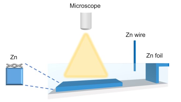 A schematic of the three-electrode cell for the in situ optical microscopy. 