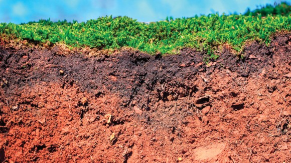 Soil organic carbon