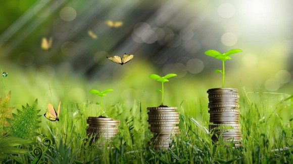 Three stacks of coins, progressively higher from left to right, in a meadow with a fresh sprout growing out of the top of each pile and butterflies in the background.