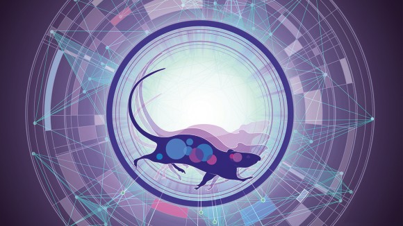 Stylised illustration showing a rat using an exercise wheel surrounded by futuristic patterns, representing scientific measurement.