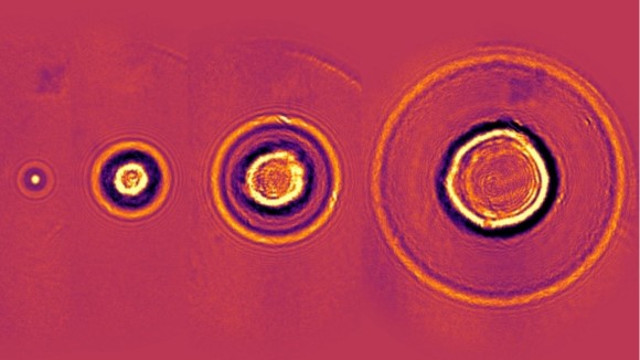 X-ray holograms of cavitation bubbles to study their expansion and collapse