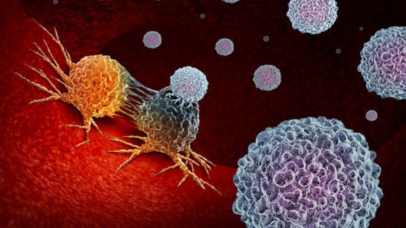 Cancer Immunotherapy as a human immune system therapy concept as a biomedical or biomedicine oncology treatment using the natural T cell fighting  properties of the body as a 3D render.