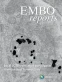 Volumes and issues | EMBO Reports | Springer Nature Link