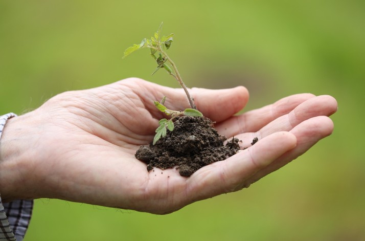 Important reminder about research involving plants and other biological specimens