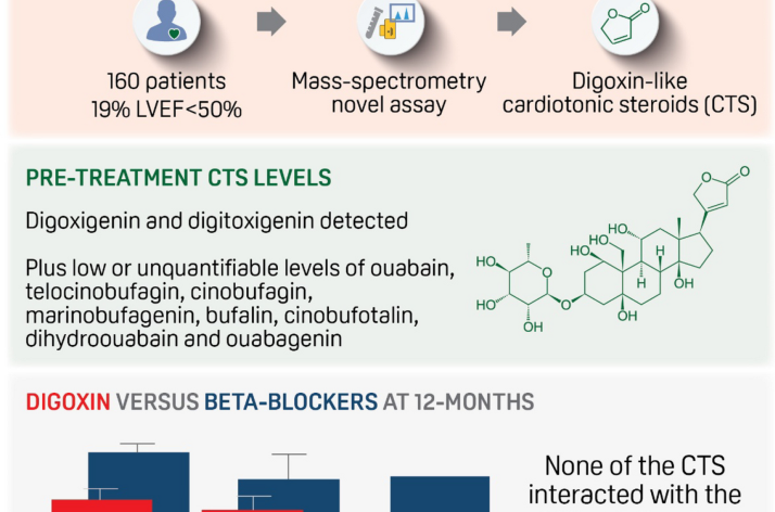Quantification and impact of circulating cardiotonic steroids in the RATE-AF randomised trial of patients with atrial fibrillation and heart fail…