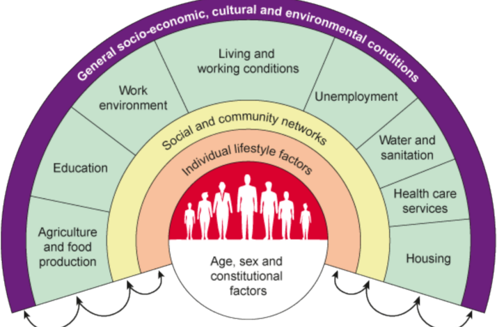 ‘Poverty is the biggest barrier’: stakeholder perspectives on social determinants of malaria in Wakiso District, Uganda