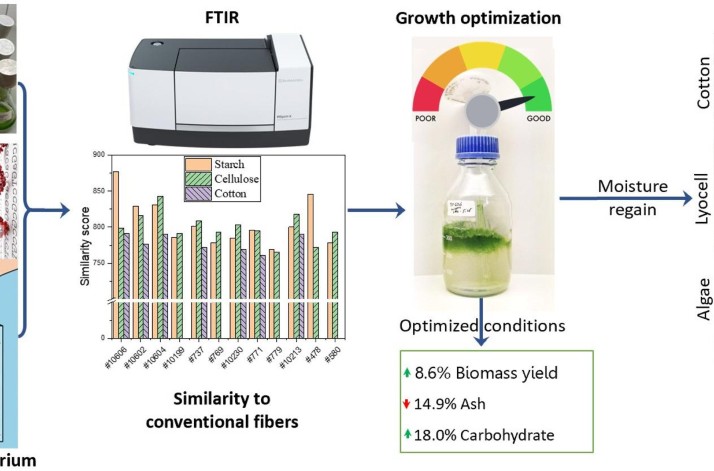 Unraveling filamentous algae as a renewable bioresource for advanced moisture-absorbent innovative aquatic fibers