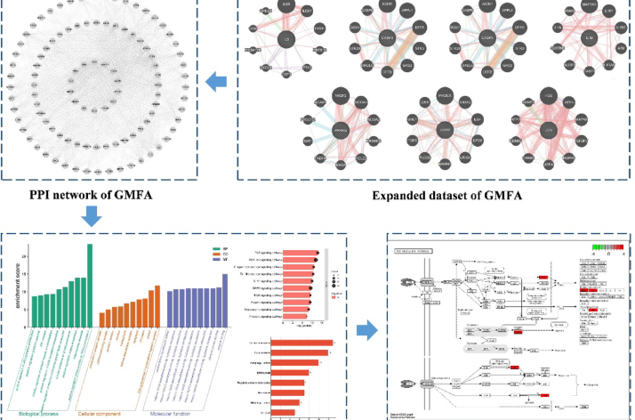 Unveiling the therapeutic potential of gut microbiota metabolites for the treatment of renal fibrosis based on network pharmacology study