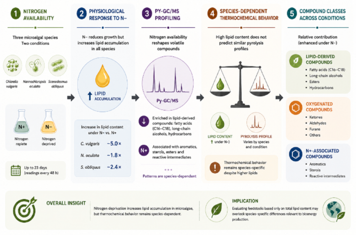 Nitrogen deprivation differentially alters lipid accumulation and pyrolysis-derived volatile profiles in three microalgal species
