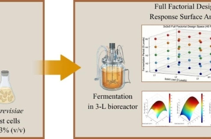 Optimization of fermentation parameters for the valorization of tomato pomace into biomass to produce single cell protein using Saccharomyces cer…