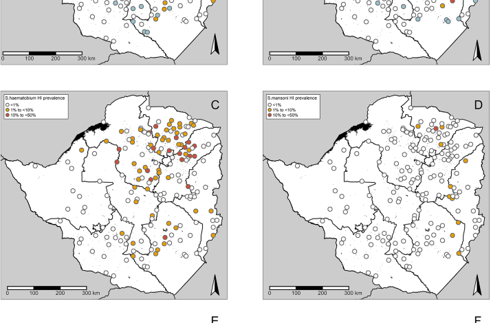 A national geostatistical survey for schistosomiasis and soil-transmitted helminths in Zimbabwe following interruption of preventive chemotherapy