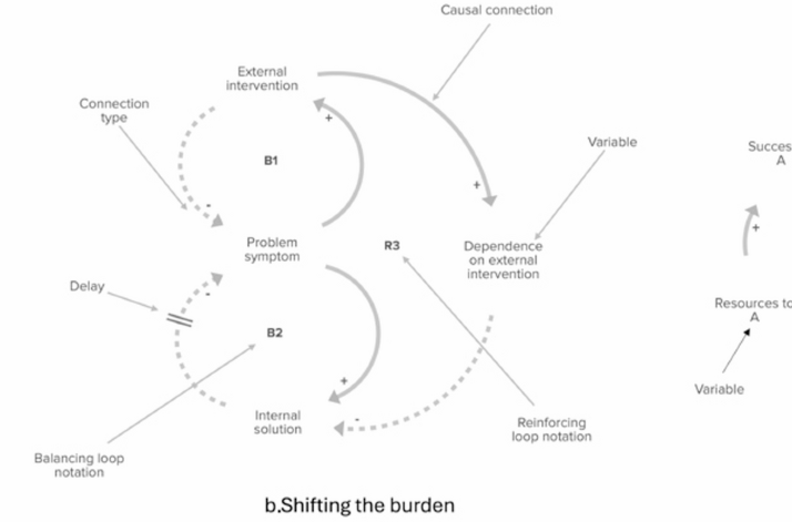 Disrupting antimicrobial resistance in food systems from a One Health perspective: a complex systems analysis in Canada, Senegal and the Netherla…