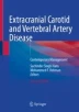 Ecvd Physiology of the Cerebrovascular System | Springer Nature Link