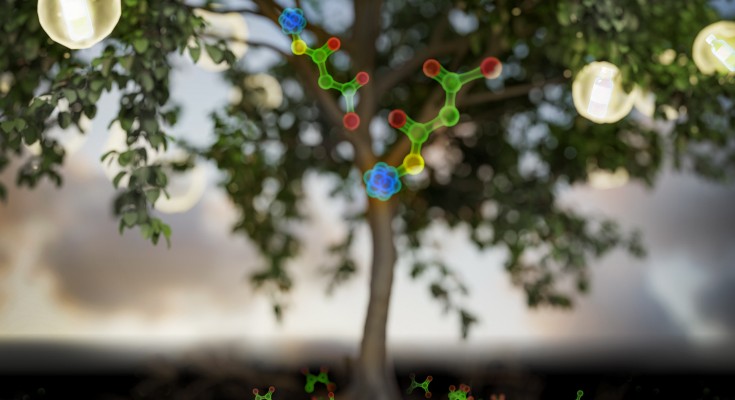 Tree on the background with molecules at the front and some bubbles with plastic bottles