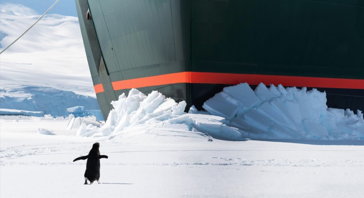 the bow of a ship breaking ice in front of a penguin