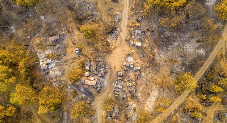 view of burnt trees and buildings