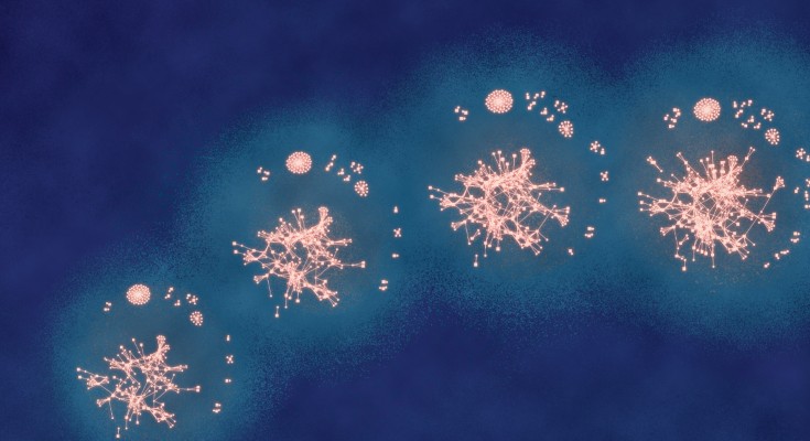 Fasting proteome