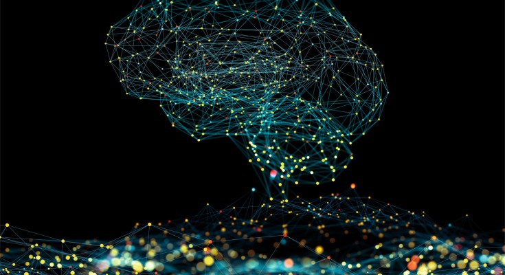 大脑是由相互连接的点组成的