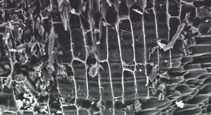 Electron micrograph of an enhanced biochar formulation