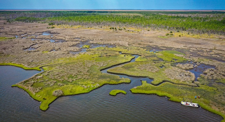 aerial view of a shoreline, salt marsh and forest beyond