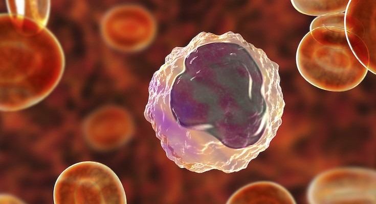 Monocytes illustration