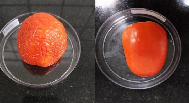 A tomato without the edible coating (left) and another with the coating (right) in room ambient condition after 30 days.