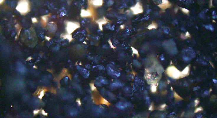 从古吉拉特邦阿朗附近获得的钒钛磁铁矿的显微照片。