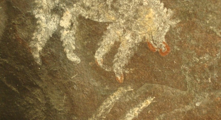 Rock art depicting pigs at Satkunda, Madhya Pradesh