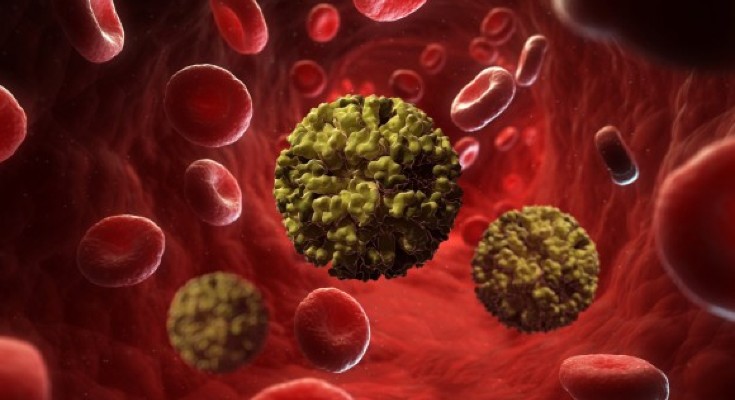 Cells running through blood vessel