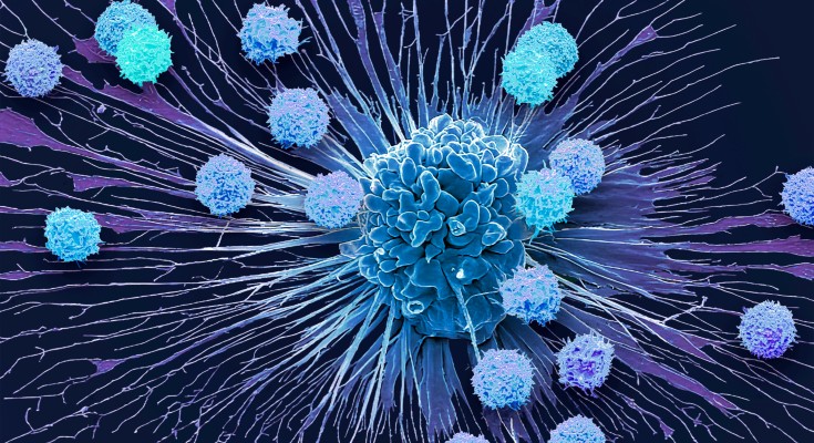 Immune cells attacking cancer cells