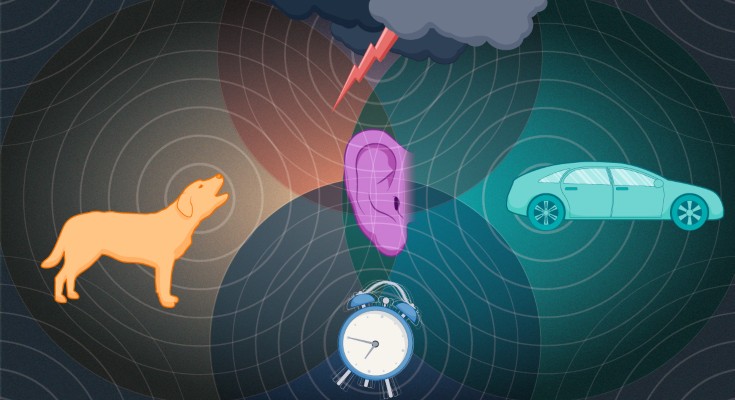 Ear in the center with different items that make sounds (dog, car, alarm clock, thunderstorm) around it. Circles radiate out of the objects to denote sound waves. 