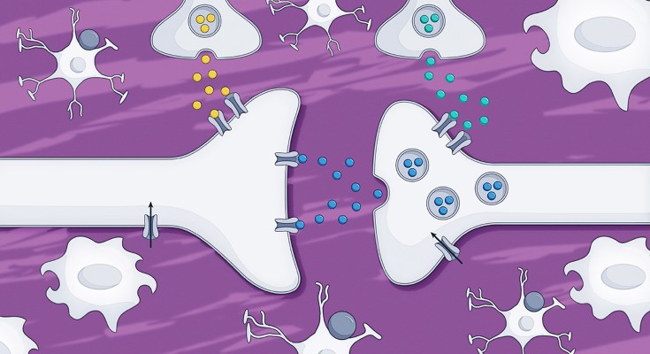 A schematic of central neuropathic pain