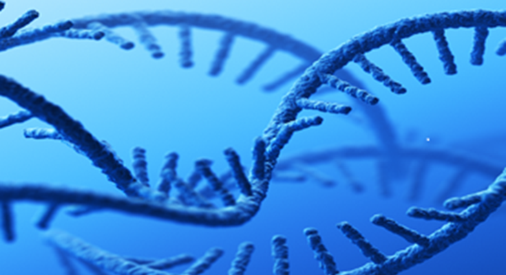 Computer generated image of mRNA molecules
