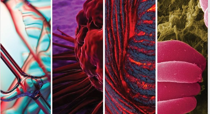 Collage of science images