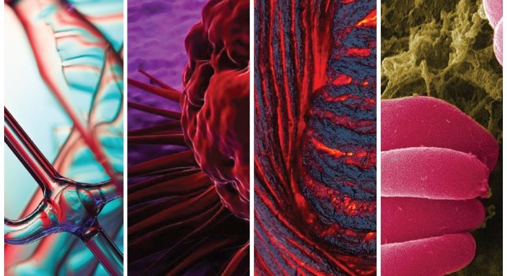 Collage of science images