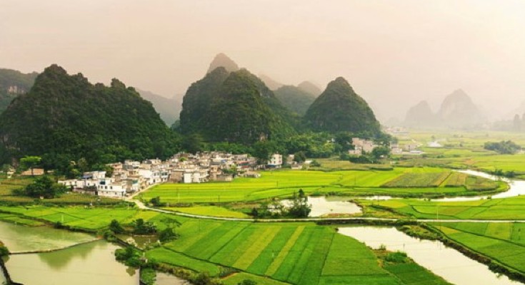 Rice fields in front of karst formations in Guangxi, China.