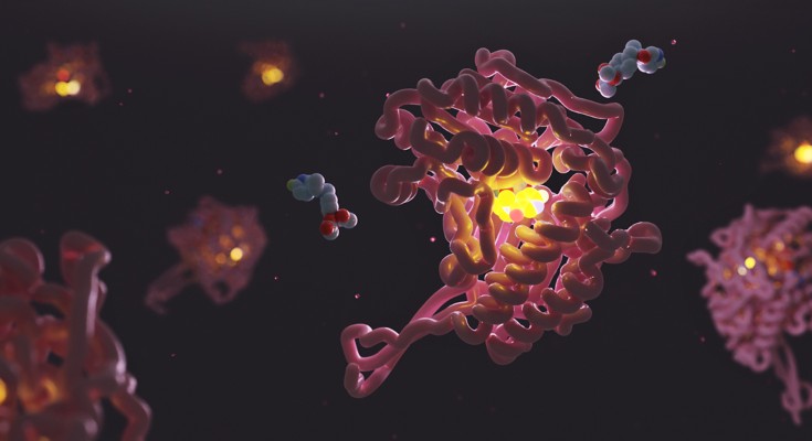 picture of protein molecule fold using bioimaging