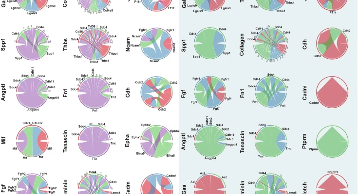 npj Systems Biology and Applications