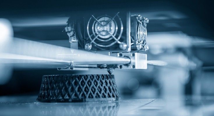 View into a 3D printer