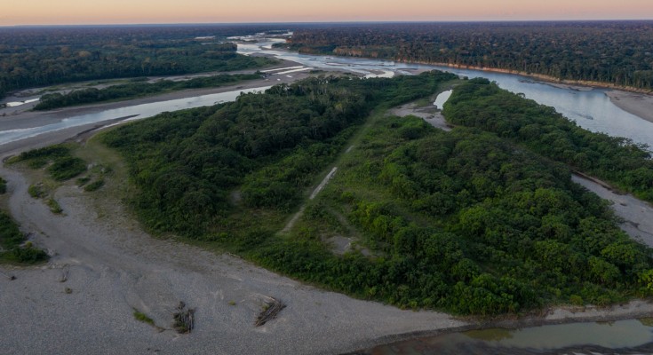 An aerial view of the trees of the Amazon 