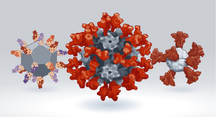 Illustration that shows a vaccine nanoparticle